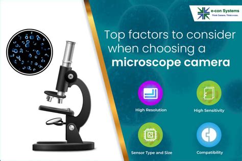 microscopes with camera|What to Consider When Choosing a Microscope Camera.